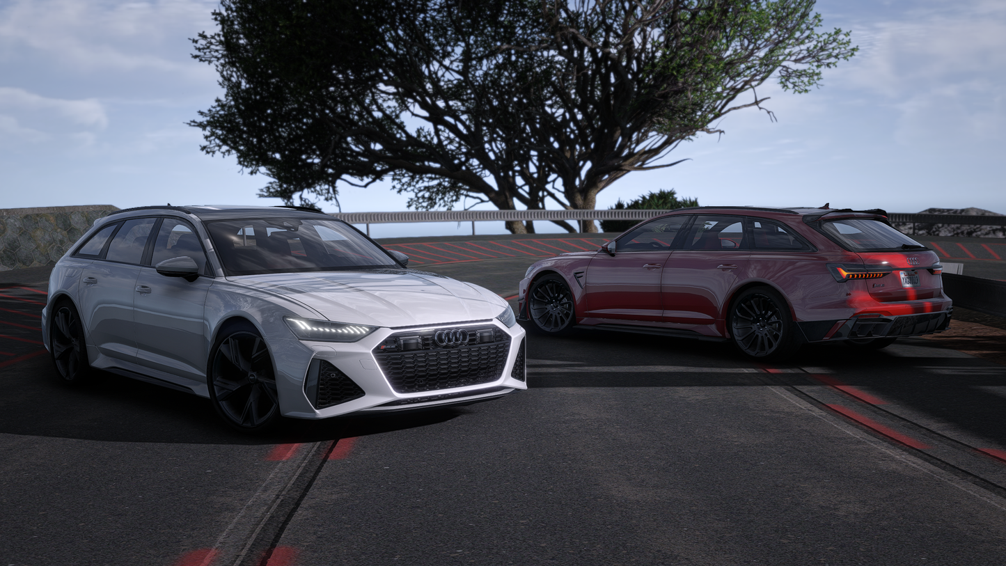 Audi RS6 C8 2020 [210+ Tuning / Liveries / Add-On / Debadged / FiveM / LODS / Replace]
